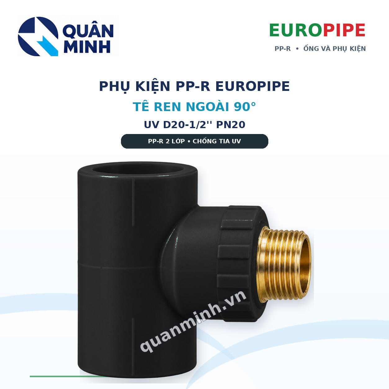 te ren ngoai ppr europipe uv d20 1 2 pn20