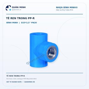 te ren trong ppr binh minh d25 1 2 pn20