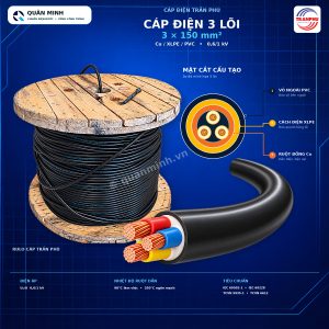 tran phu cap dien 3 loi cu xlpe pvc 3x150 cxv3150t