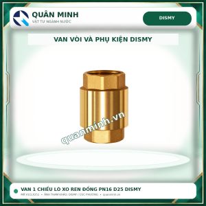 v1clx251 van 1 chieu lo xo ren dong pn16 d25 dismy