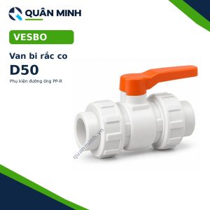 van bi rac co ppr vesbo d50