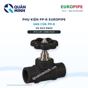 van cua ppr europipe uv d25 pn20